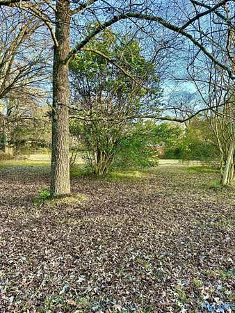 0.39 Acres of Land for Sale in Hartselle, Alabama