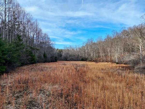 32.1 Acres of Land for Sale in Suches, Georgia
