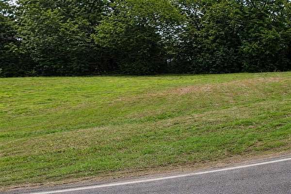 0.23 Acres of Land for Sale in Cumby, Texas