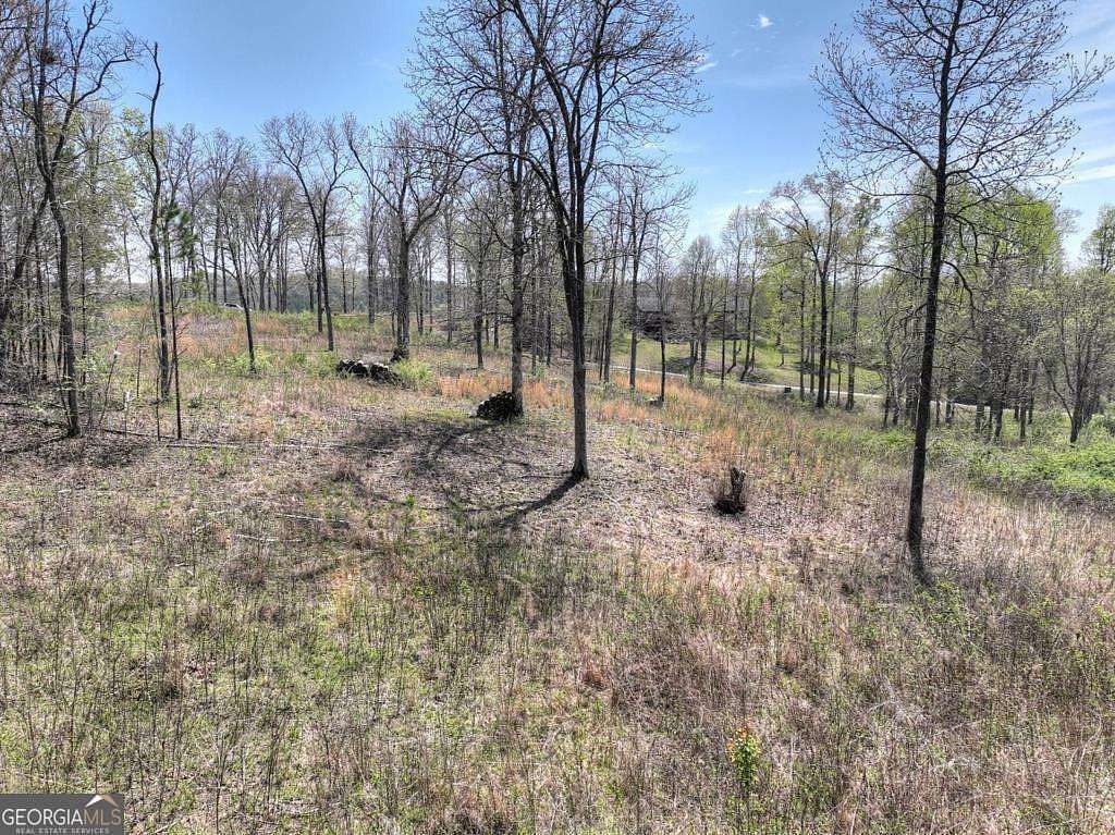 1 Acre of Residential Land for Sale in Mineral Bluff, Georgia