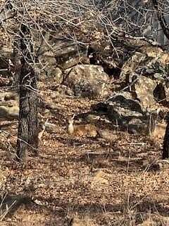 0.52 Acres of Residential Land for Sale in Nocona, Texas