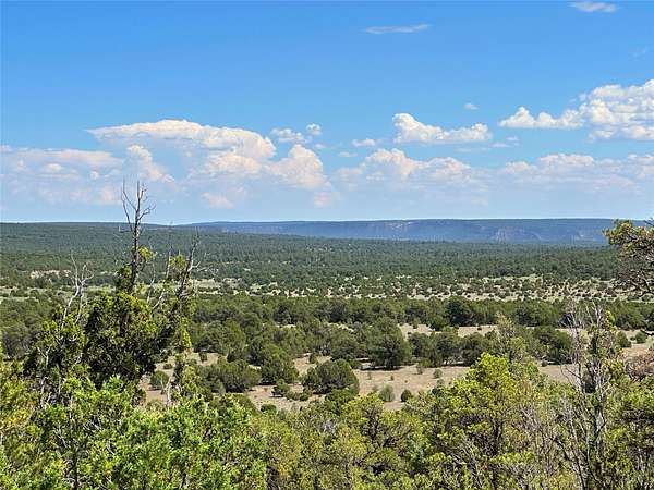 20 Acres of Recreational & Residential Land for Sale in Rowe, New Mexico