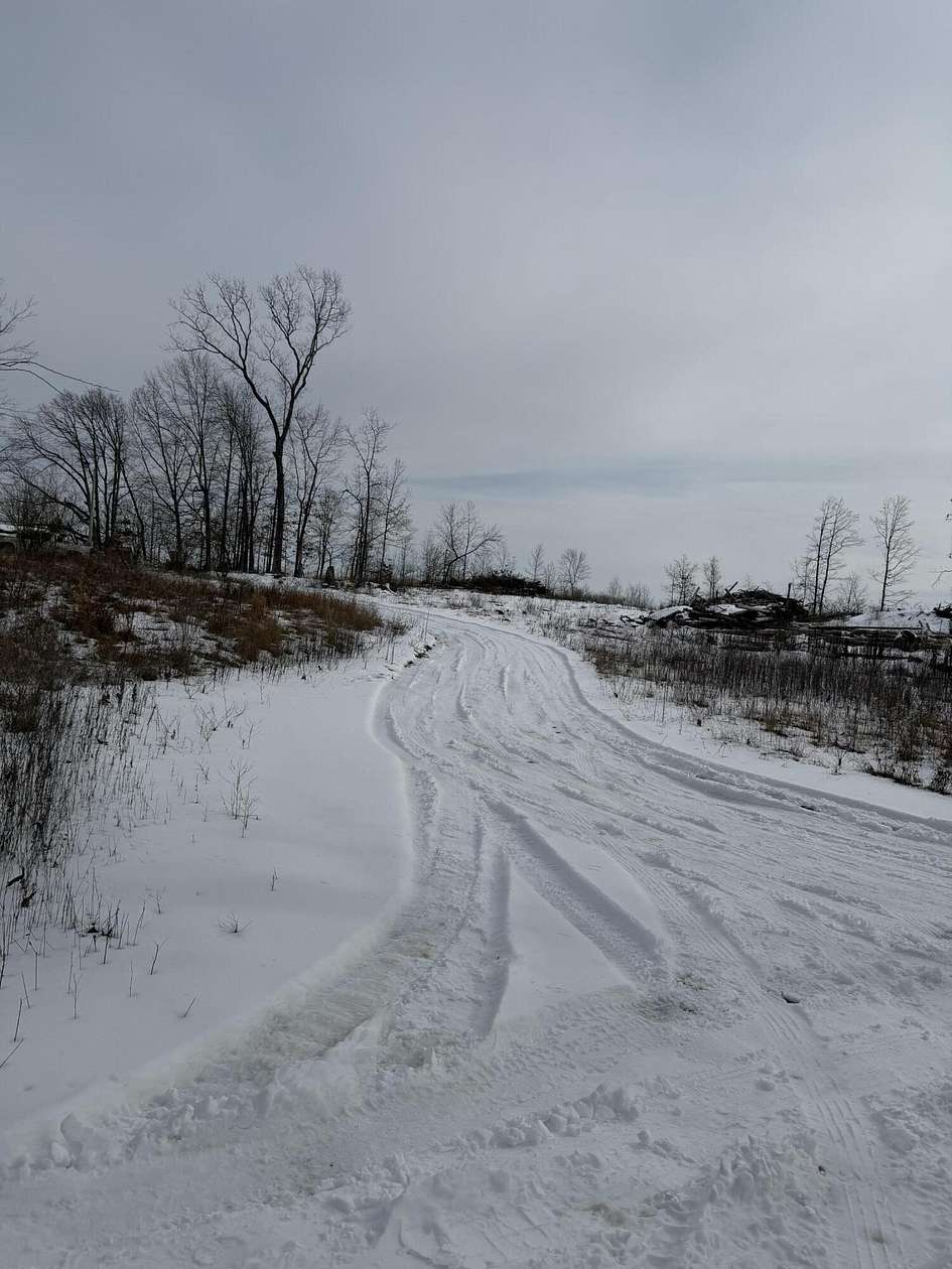 10 Acres of Land for Sale in Mountain View, Missouri