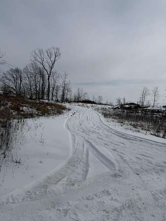 10 Acres of Land for Sale in Mountain View, Missouri