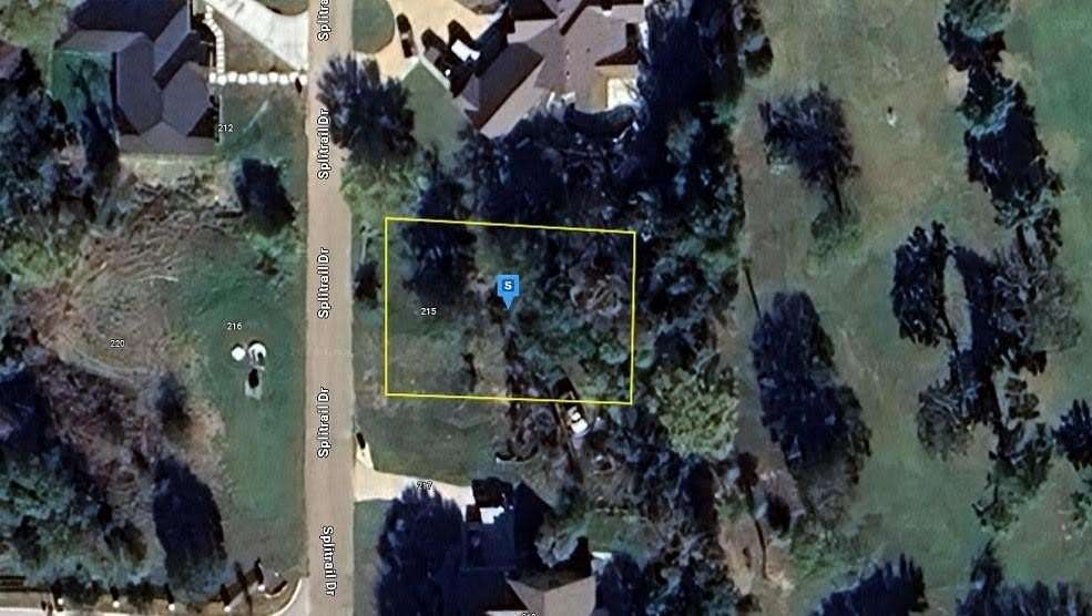 0.24 Acres of Residential Land for Sale in Mabank, Texas