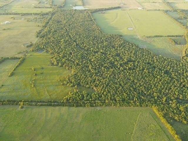 70 Acres of Recreational Land for Sale in Cooper, Texas