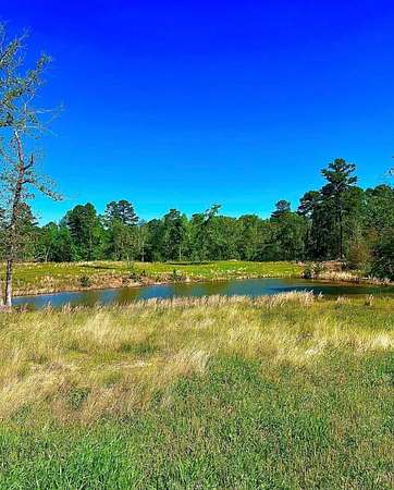 3.84 Acres of Residential Land for Sale in Alba, Texas