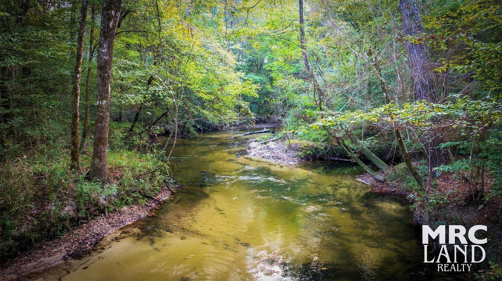 26.6 Acres of Land for Sale in Wiergate, Texas