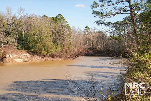 7 Acres of Land for Sale in Colmesneil, Texas