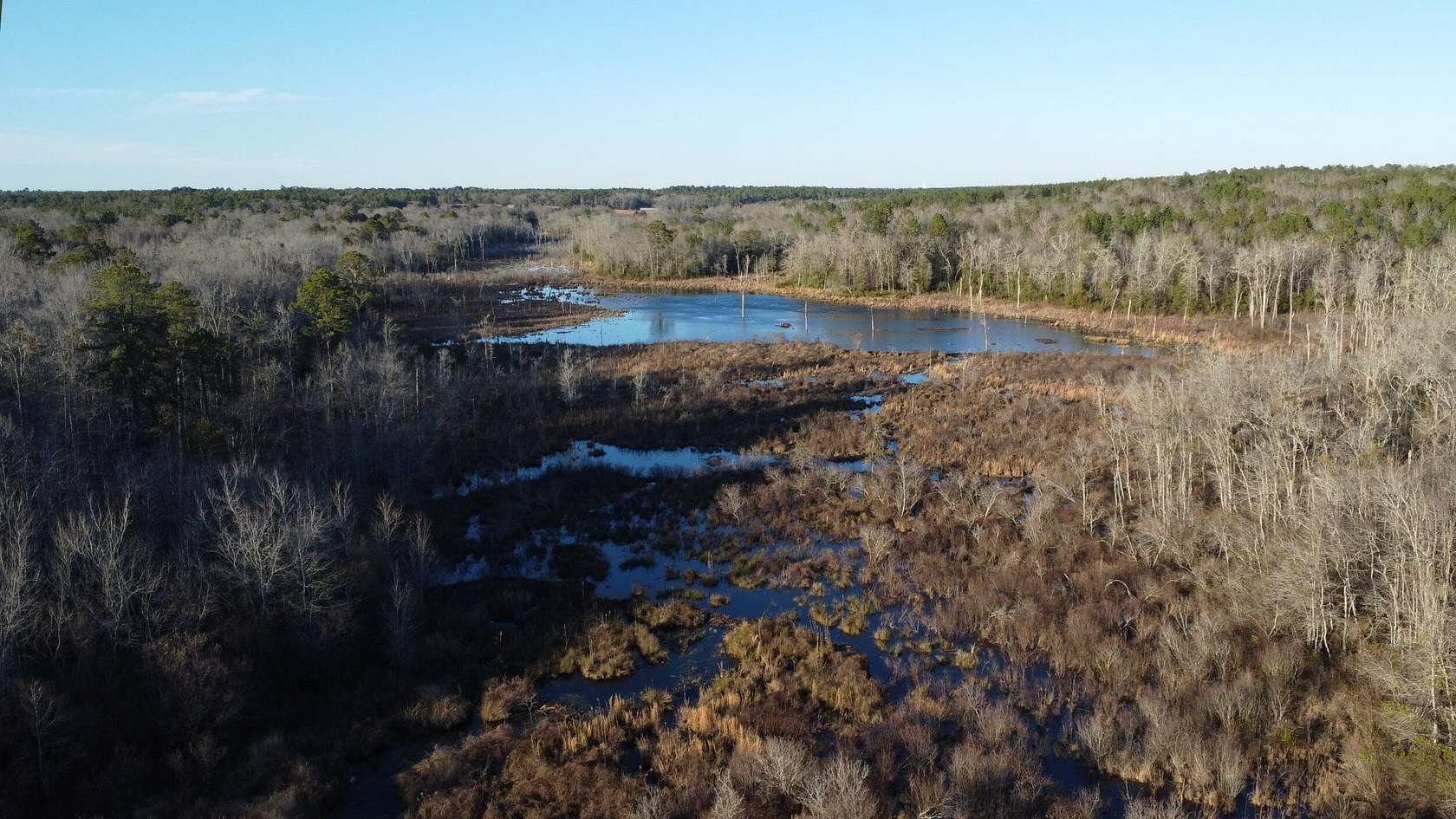 40 Acres of Recreational Land for Sale in Wagener, South Carolina