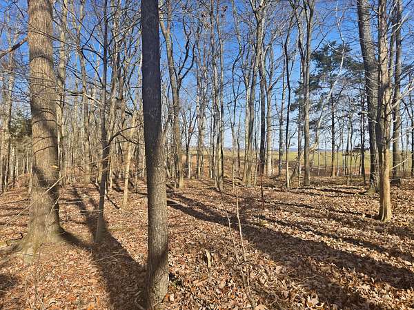 29.1 Acres of Recreational Land for Sale in Cumberland City, Tennessee