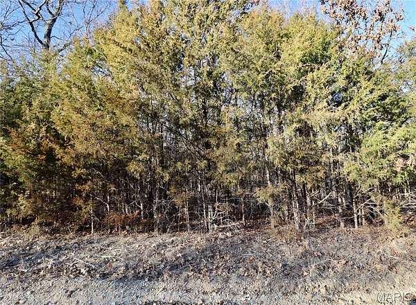 32 Acres of Recreational Land for Sale in Falcon, Missouri