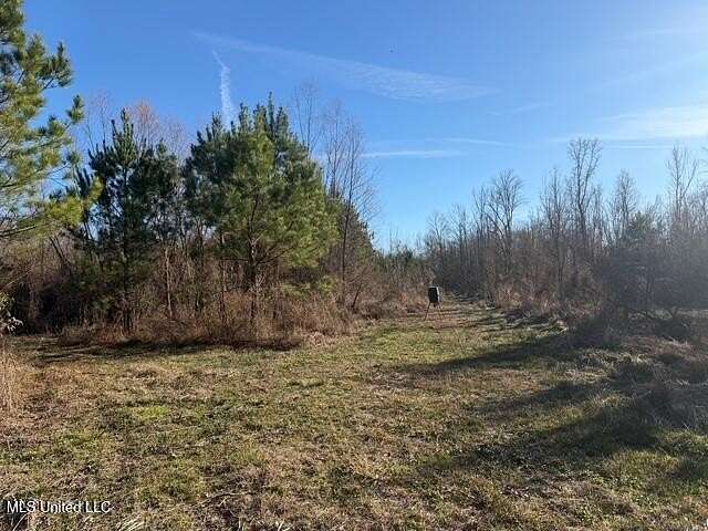 95 Acres of Recreational Land for Sale in Jackson, Mississippi