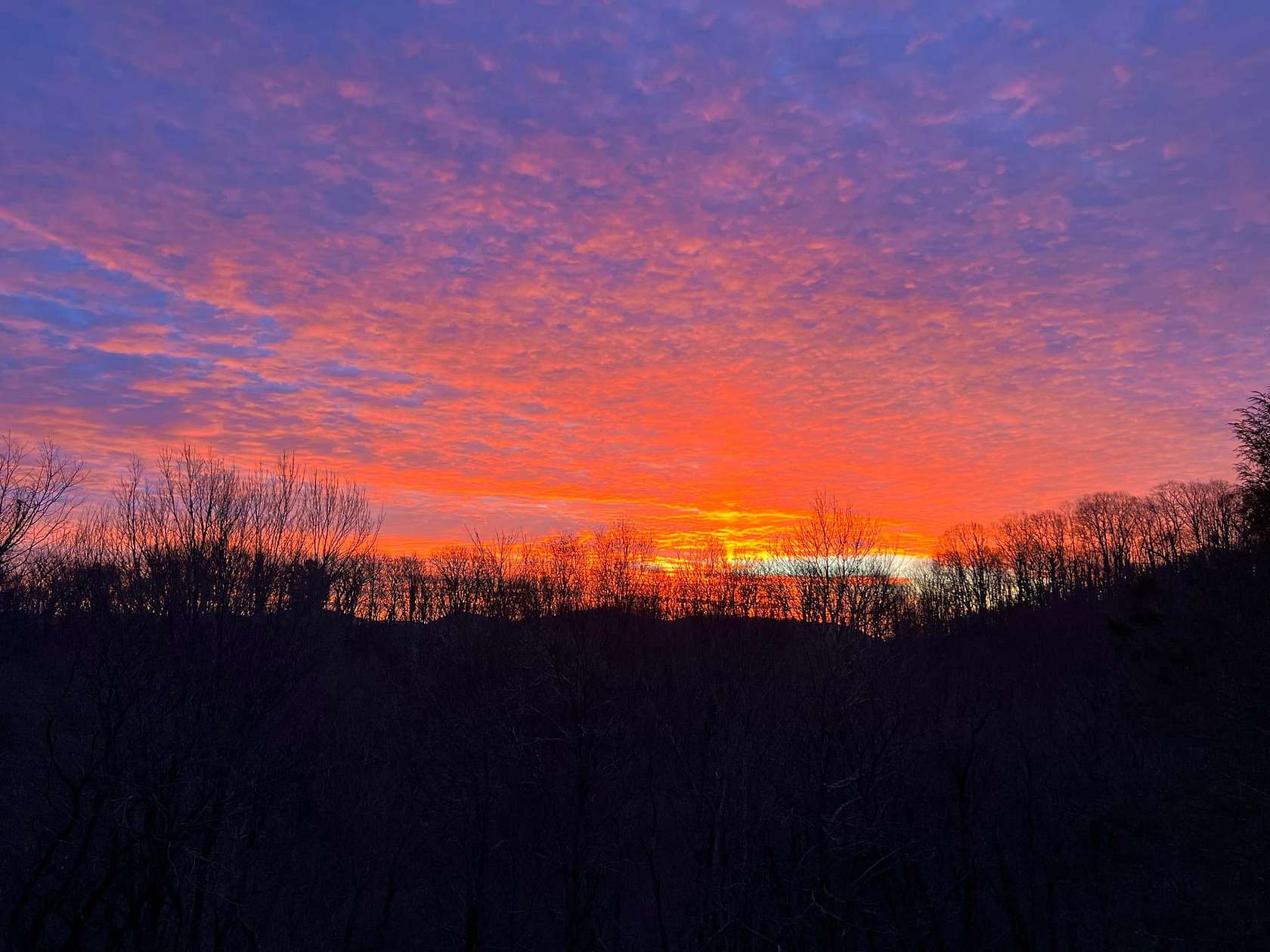 11.3 Acres of Land with Home for Sale in Hot Springs, North Carolina