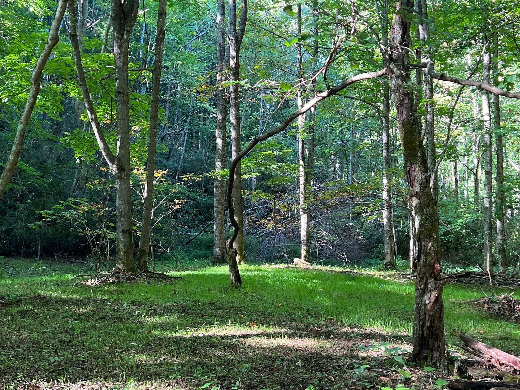 11.3 Acres of Land with Home for Sale in Hot Springs, North Carolina