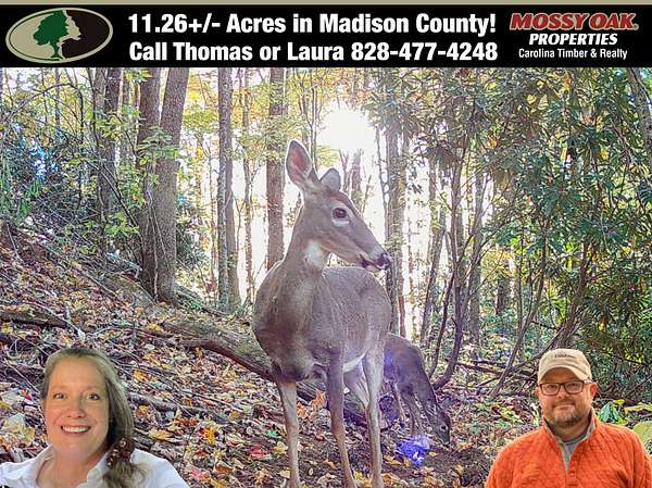 11.3 Acres of Land with Home for Sale in Hot Springs, North Carolina