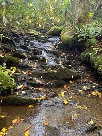 11.3 Acres of Land with Home for Sale in Hot Springs, North Carolina