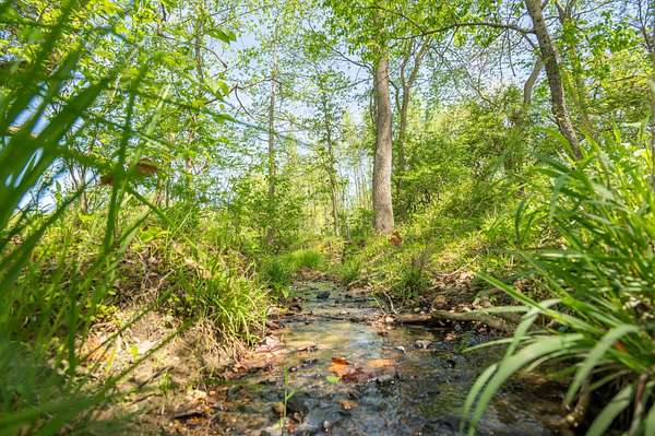25 Acres of Recreational Land & Farm for Sale in Bloomfield, Missouri