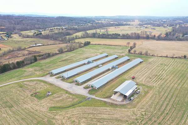 24 Acres of Agricultural Land for Sale in Bulls Gap, Tennessee