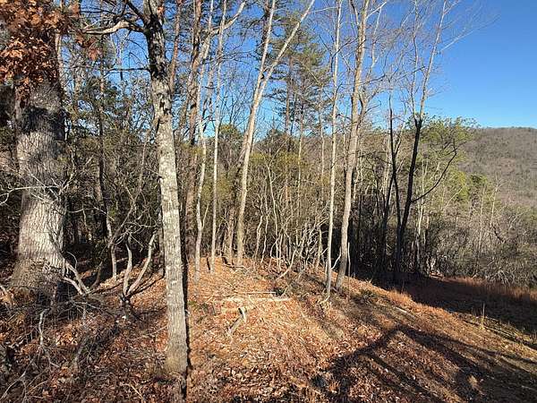 0.59 Acres of Residential Land for Sale in Clayton, Georgia