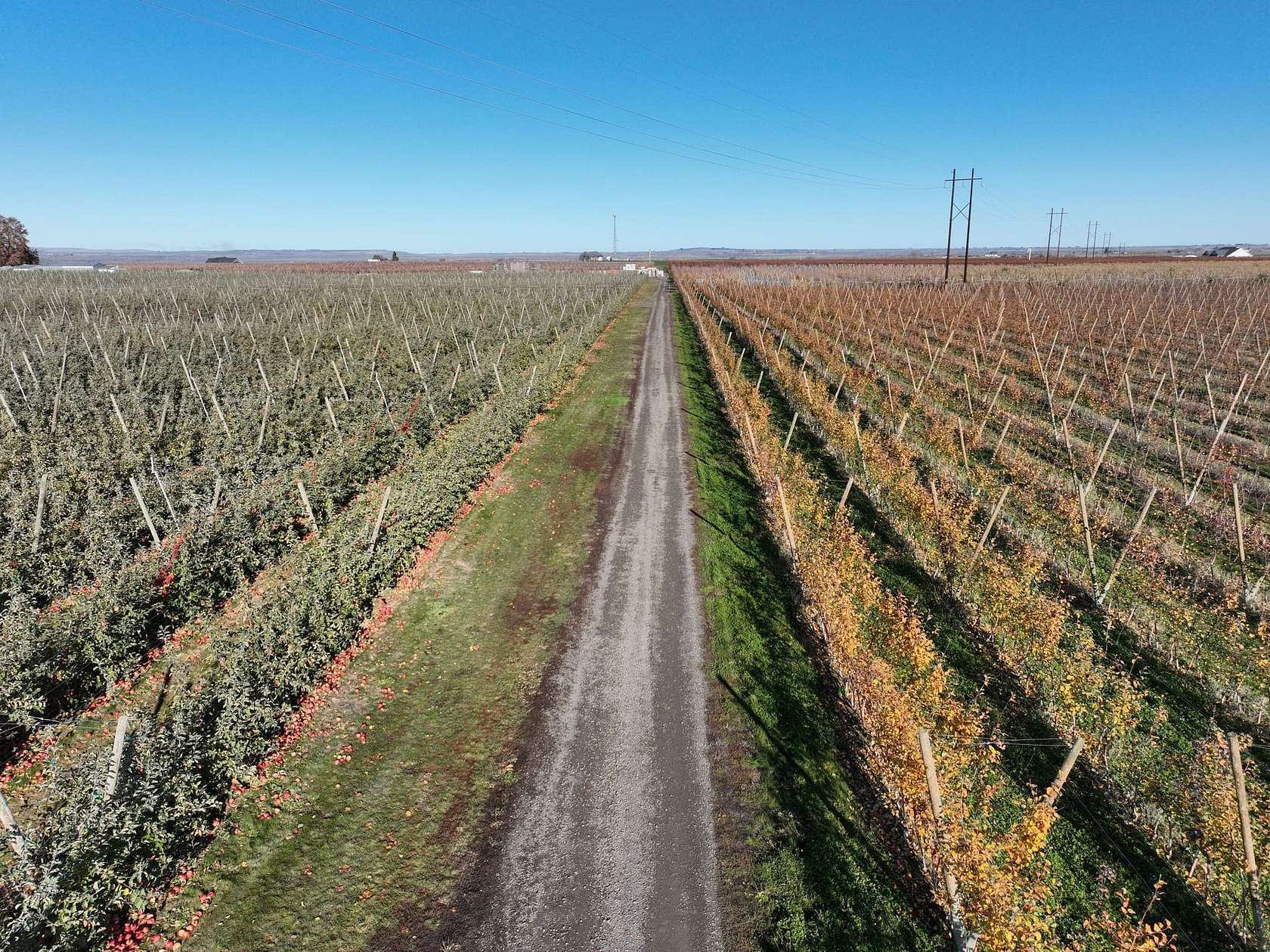 817 Acres of Agricultural Land for Sale in Mesa, Washington