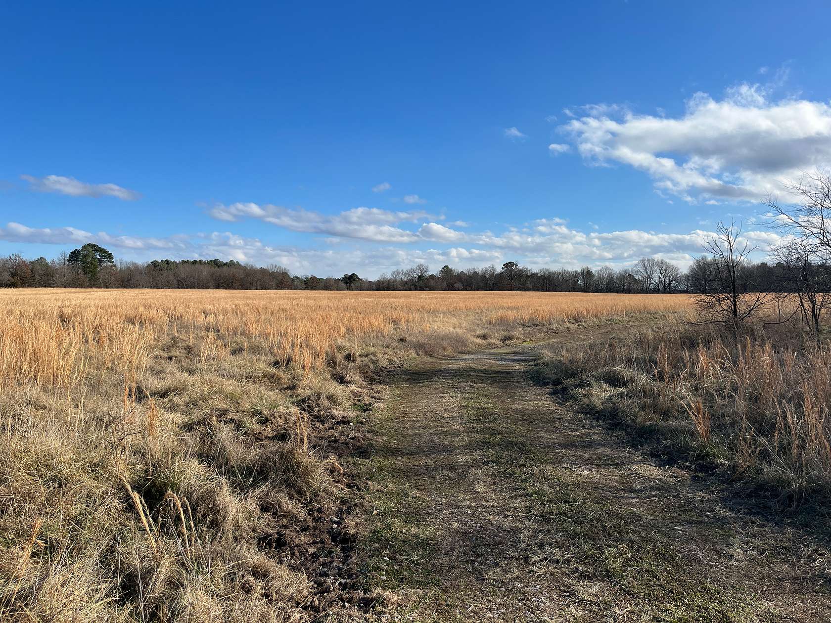 154 Acres of Agricultural Land for Sale in Jay, Oklahoma