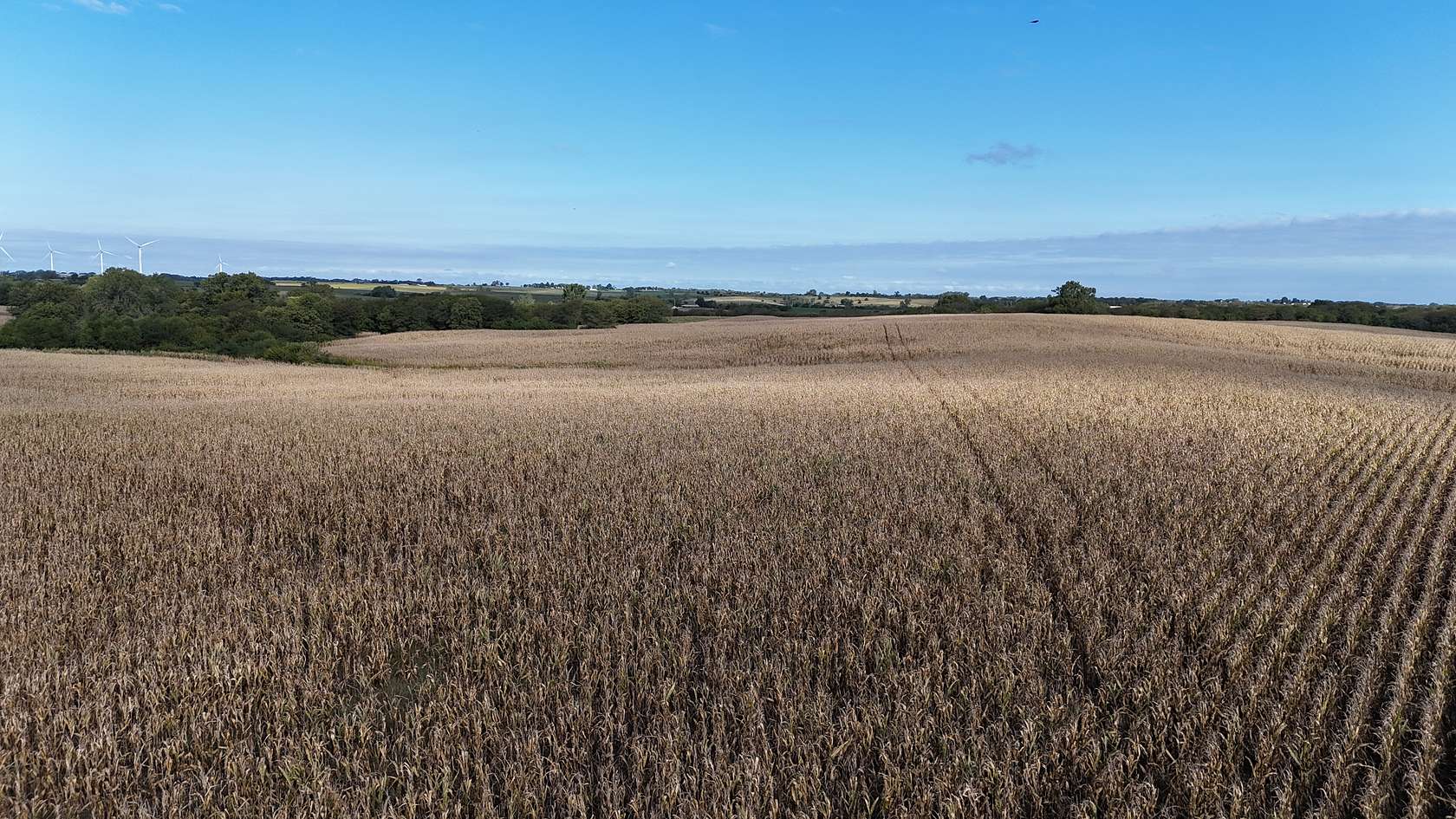 120 Acres of Agricultural Land for Sale in King City, Missouri
