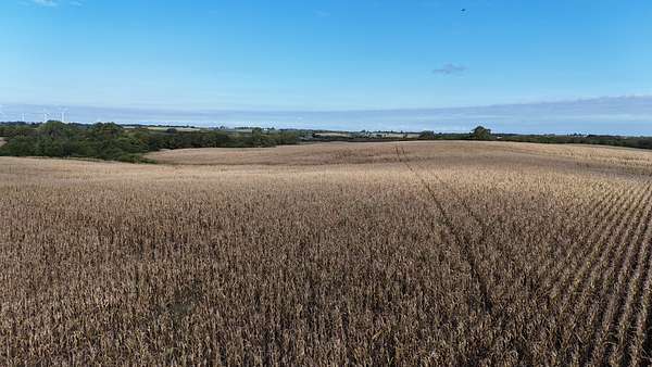 120 Acres of Agricultural Land for Sale in King City, Missouri