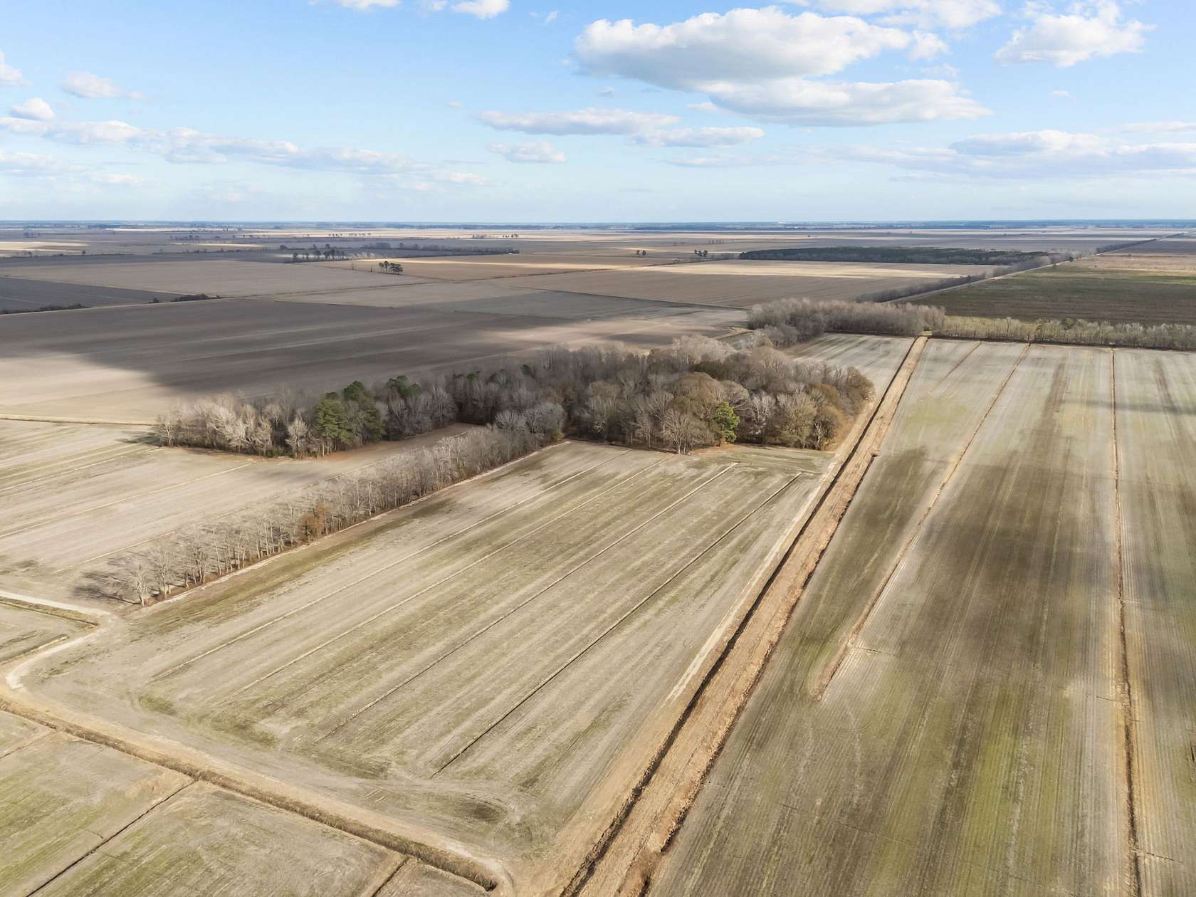 28 Acres of Land for Sale in Plymouth, North Carolina