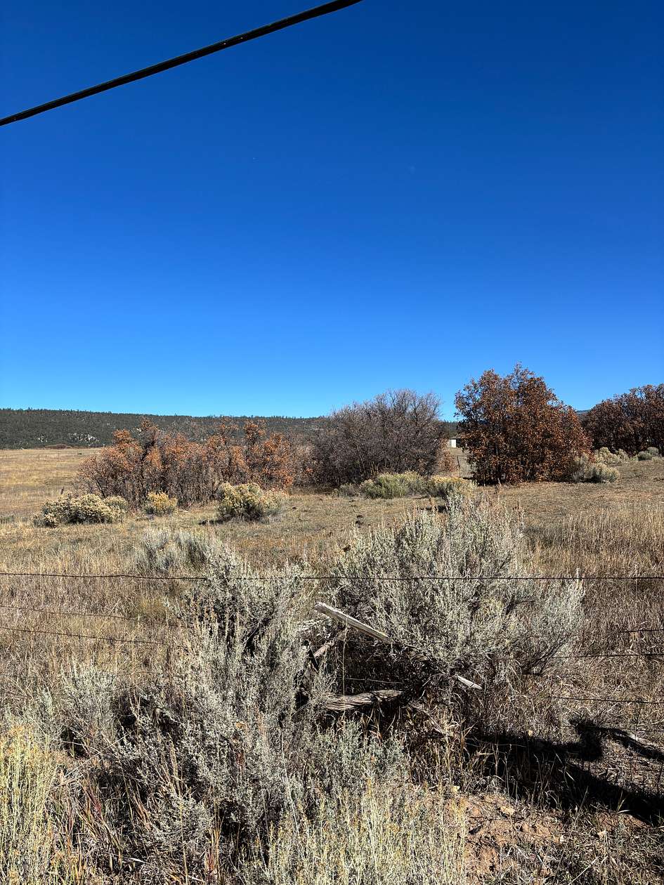 0.48 Acres of Land for Sale in Canjilon, New Mexico