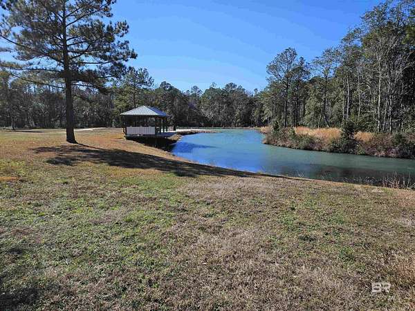 17 Acres of Land for Sale in Silverhill, Alabama