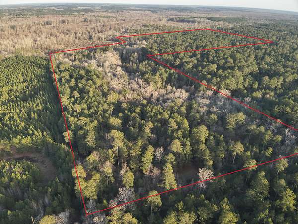 70 Acres of Recreational Land & Farm for Sale in Junction City, Arkansas