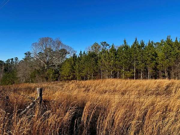 3 Acres of Land for Sale in Troy, Alabama