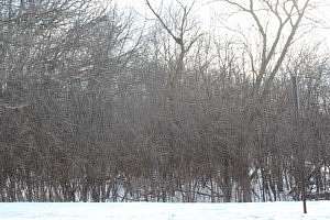 1 Acre of Residential Land for Sale in Round Lake Beach, Illinois