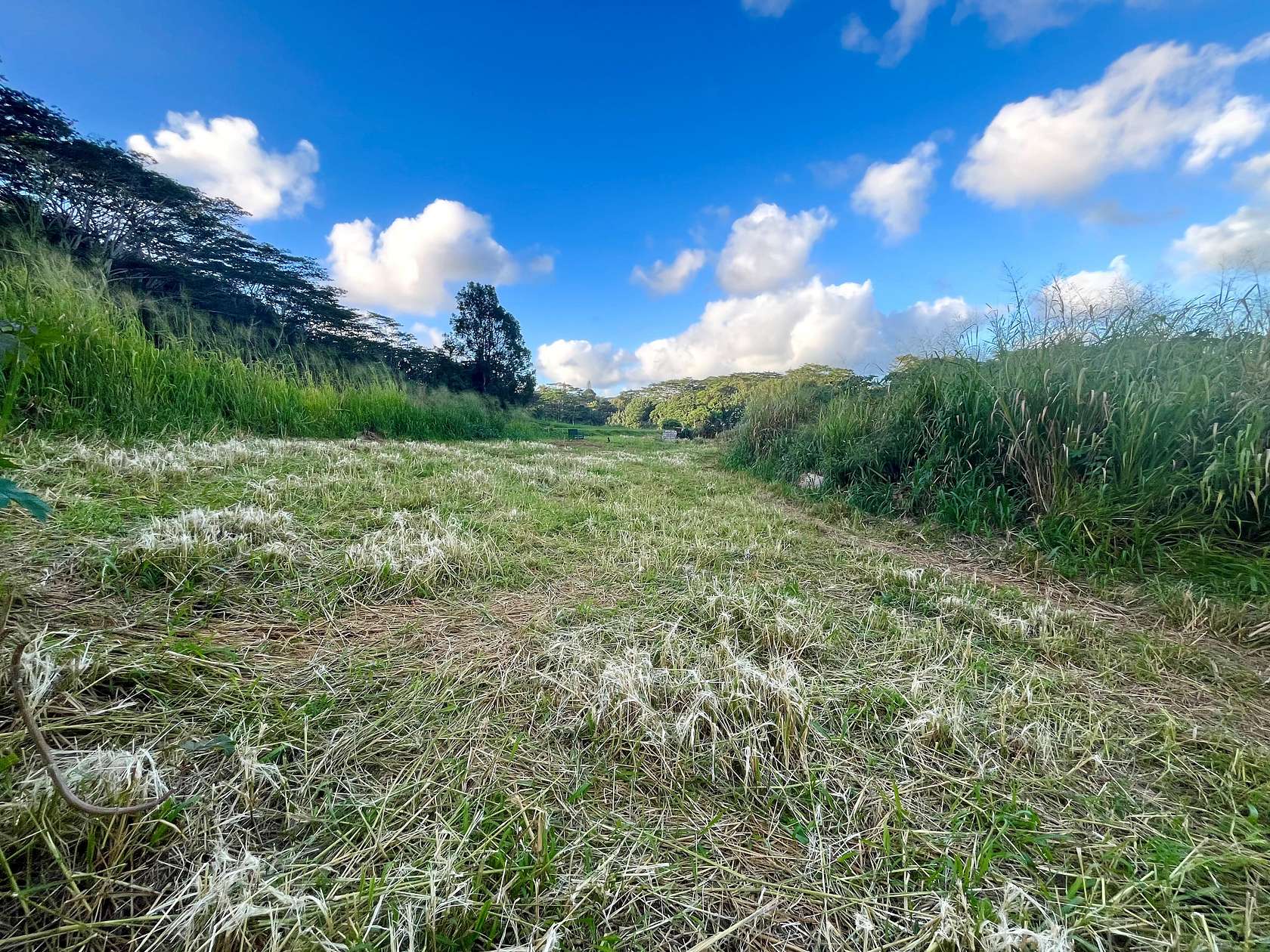 1.52 Acres of Land for Sale in Kapaa, Hawaii