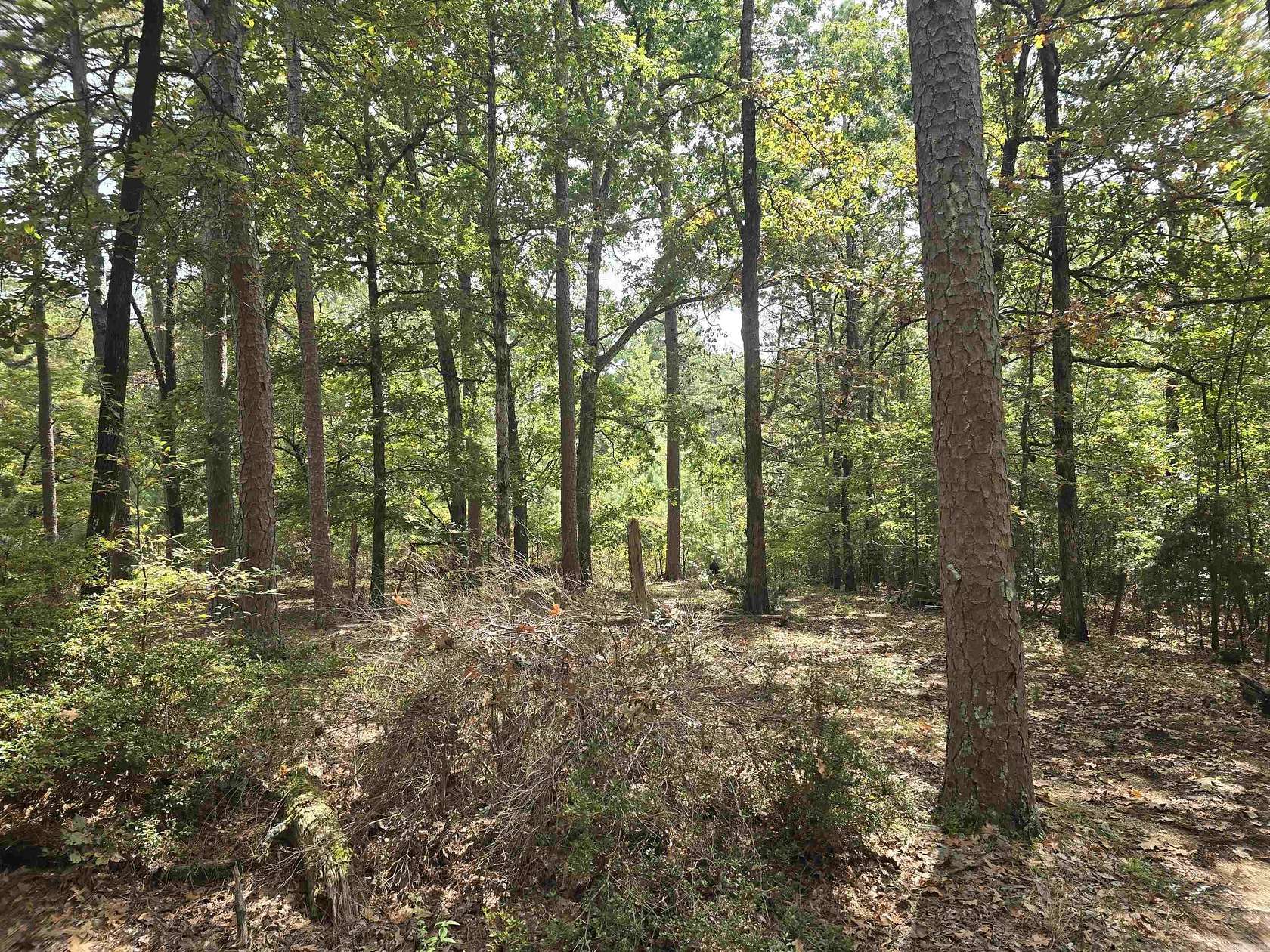 15 Acres of Land for Sale in Brookland, Arkansas