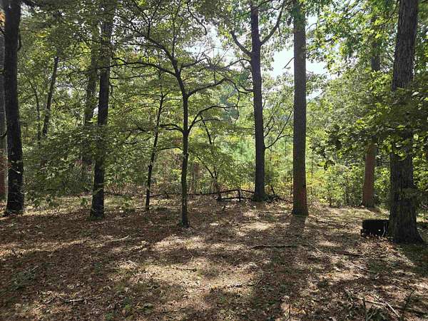 15 Acres of Land for Sale in Brookland, Arkansas