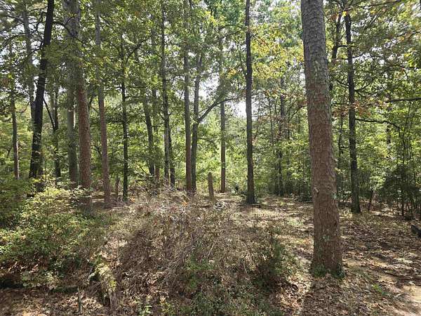 15 Acres of Land for Sale in Brookland, Arkansas
