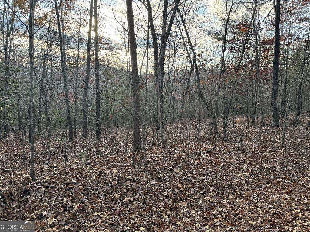3 Acres of Land for Sale in Mineral Bluff, Georgia