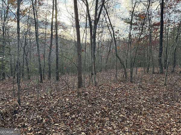 3 Acres of Land for Sale in Mineral Bluff, Georgia