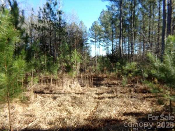 41.4 Acres of Land for Sale in Clover, South Carolina