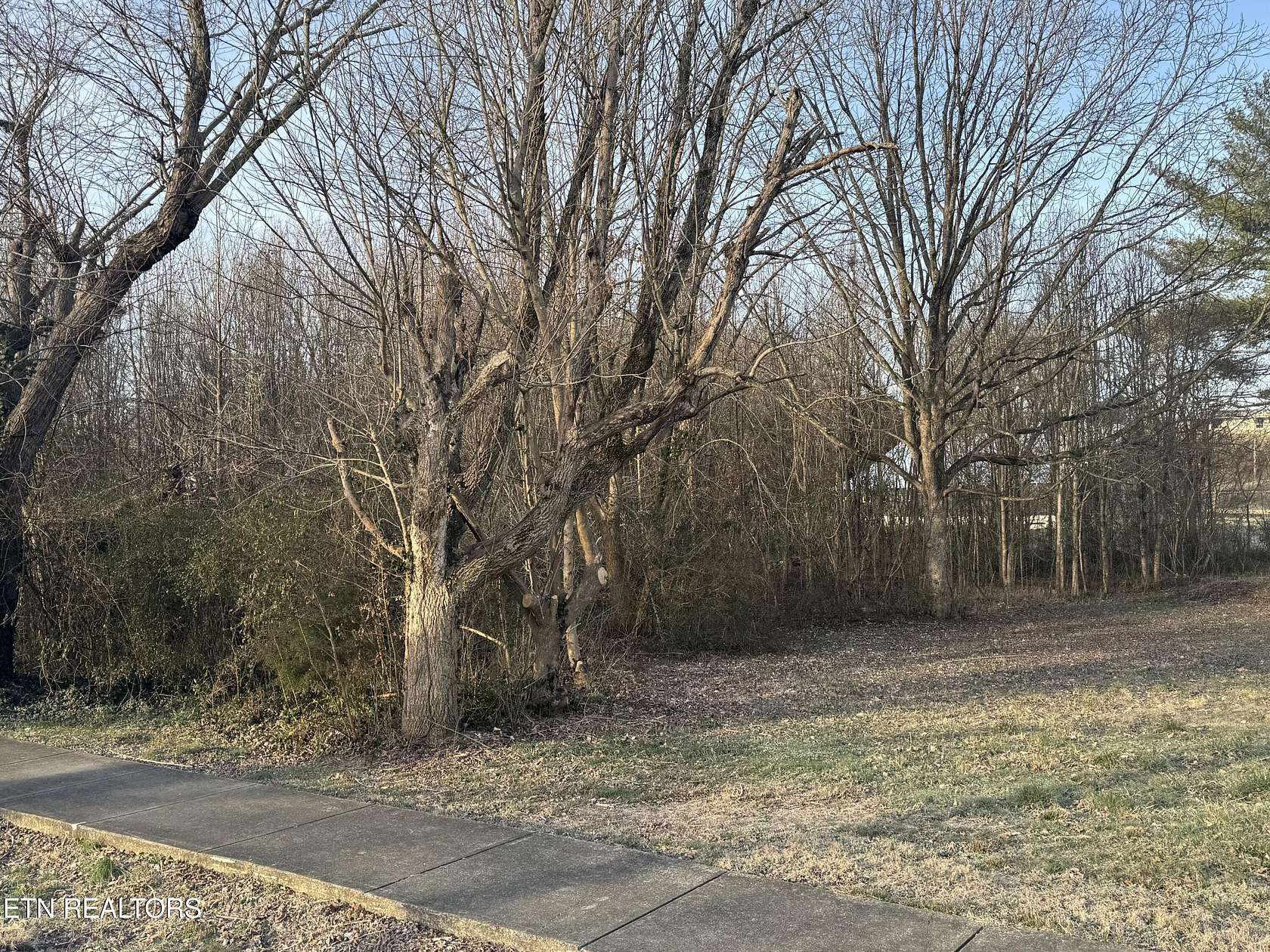 0.25 Acres of Residential Land for Sale in Tellico Plains, Tennessee