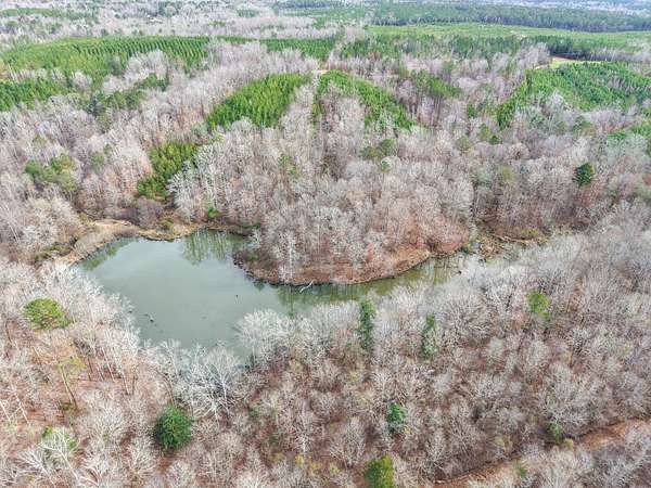 80 Acres of Land for Sale in Cuba, Alabama