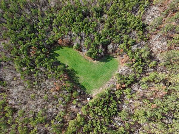 20 Acres of Land for Sale in Lisman, Alabama