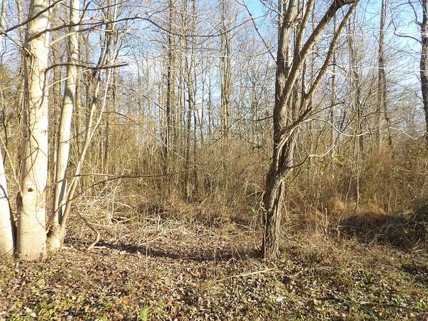 5.33 Acres of Residential Land for Sale in Middlesboro, Kentucky