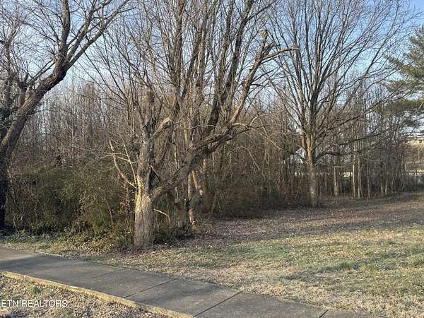 0.25 Acres of Residential Land for Sale in Tellico Plains, Tennessee