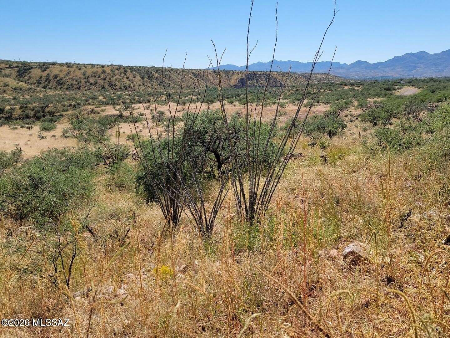 37.8 Acres of Land for Sale in Rio Rico, Arizona
