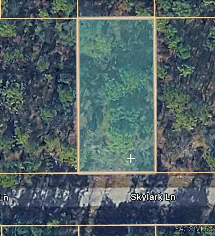 0.25 Acres of Residential Land for Sale in Dunnellon, Florida