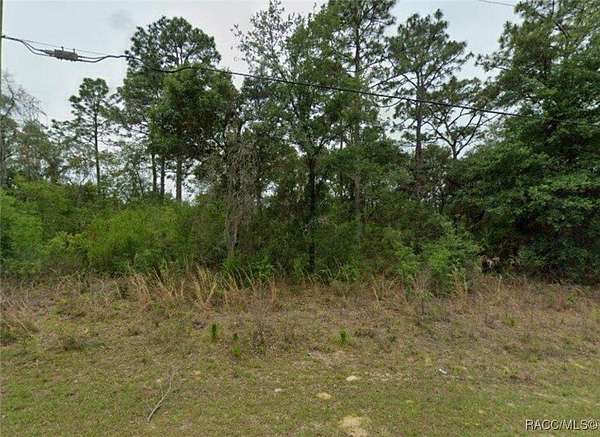 0.23 Acres of Land for Auction in Dunnellon, Florida