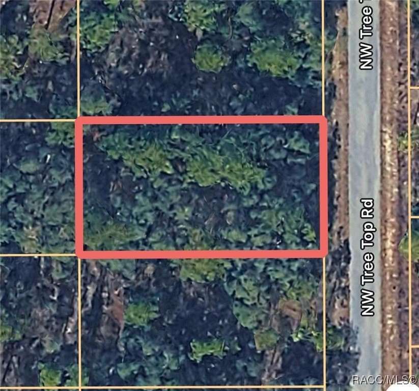 0.26 Acres of Residential Land for Sale in Dunnellon, Florida